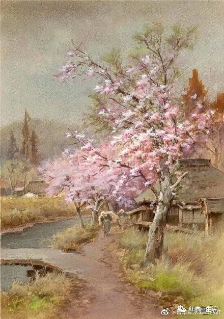 日本画樱花街道大赏