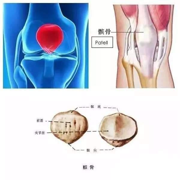髌骨软化的原因 腾讯网