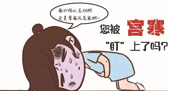 也影响女人的排卵功能,形成许多女人难孕甚至不孕,那么宫寒如何调理?