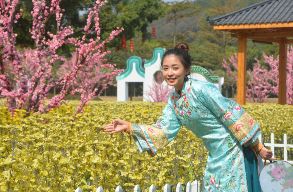 收藏 南海春节赏花地图 桃花 山茶花 虞美人 满城花开 美得不像话 腾讯新闻