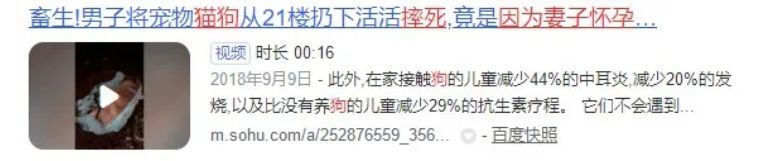 狗狗感冒|“狗狗感冒了，3个月都没好，全是我害的”