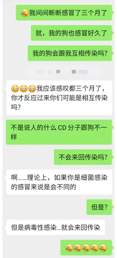 狗狗感冒|“狗狗感冒了，3个月都没好，全是我害的”