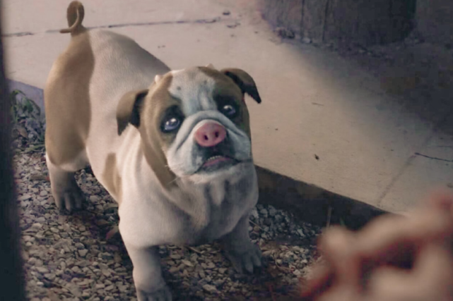 斗罗大陆剧版:蓝银皇成树妖就算了,罗三炮变猪也算了,泰坦巨猿真的