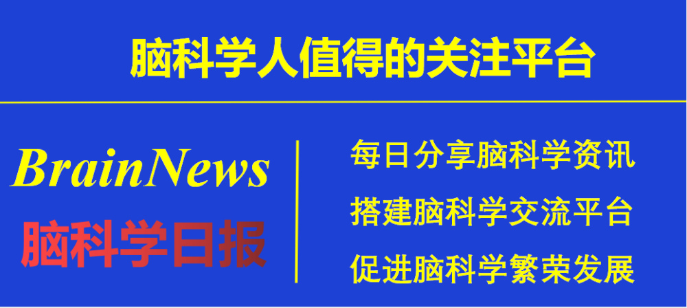 液态金属|脑科学日报：开发用于活体神经记录的可拉伸液态金属电极阵列