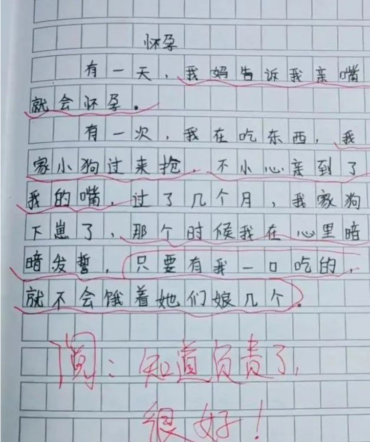 小学生作文怀孕走红字里行间充满责任老师给出这个评语
