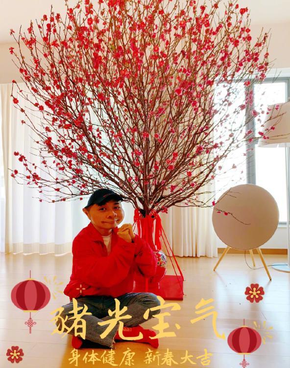 参观古巨基现实中的家还没过年客厅就放桃花是香港的习俗吗