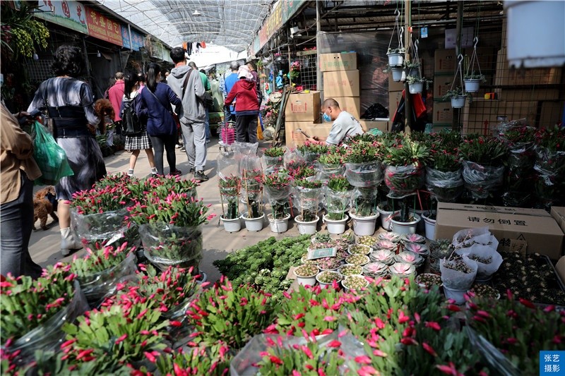 广州的花市全国闻名,岭南花卉市场是广州规模最大的花卉批发市场.