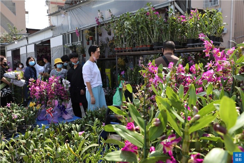 龙溪大道花卉市场图片
