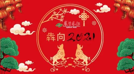 钾盐|【犇向2021】德钾盐：锲而不舍 共创镁肥天下