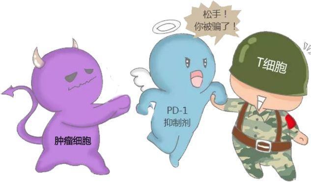 肺癌免疫治疗效果虽好,个体化治疗也必可少!_腾讯新闻