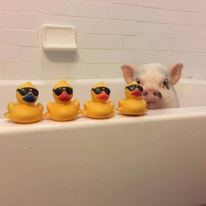 沙雕朋友圈背景图一眼就看出你的与众不同