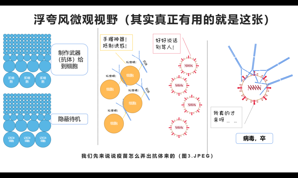 抗体|火遍全国的商业化新冠抗体检测，到底是定心丸还是智商税？