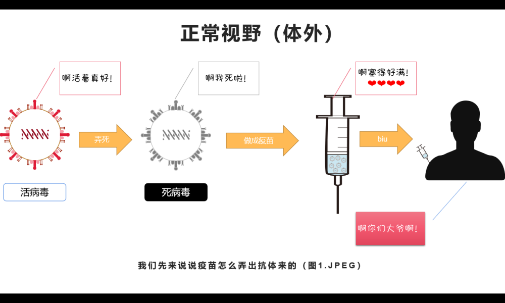 抗体|火遍全国的商业化新冠抗体检测，到底是定心丸还是智商税？