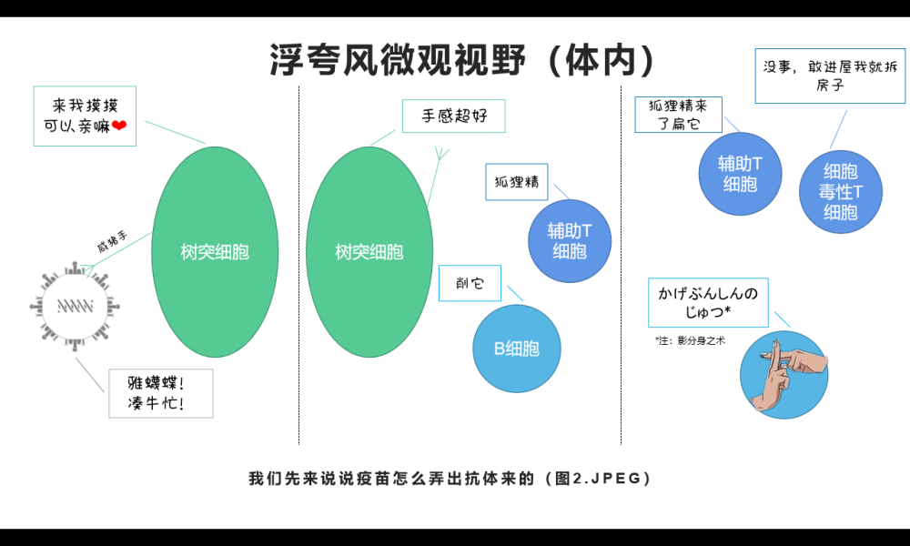 抗体|火遍全国的商业化新冠抗体检测，到底是定心丸还是智商税？