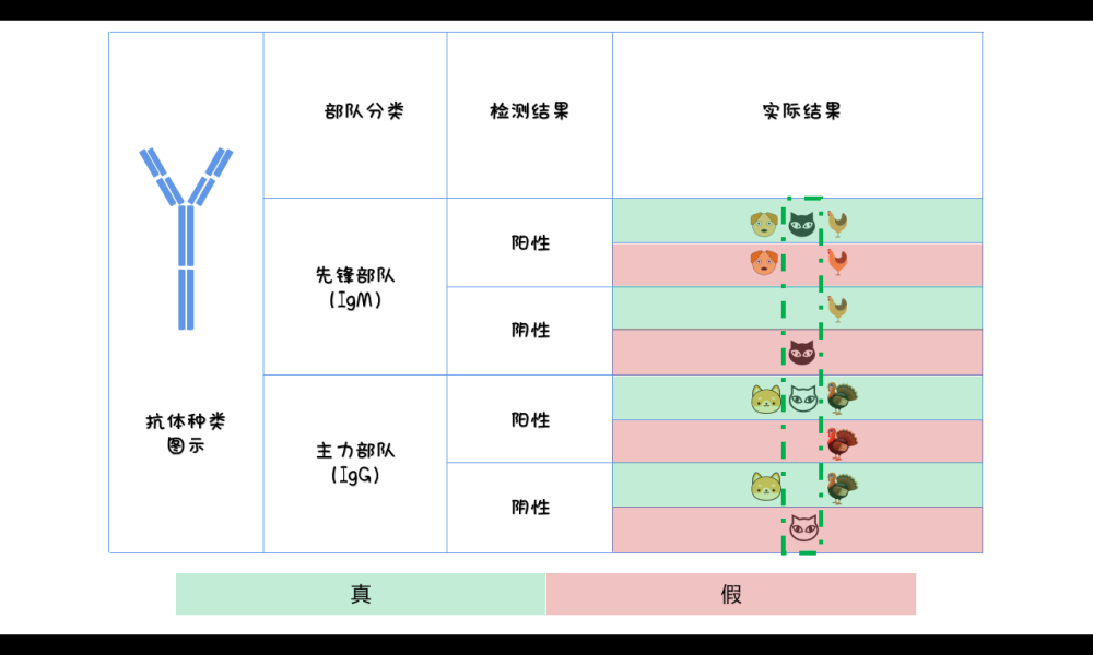 抗体|火遍全国的商业化新冠抗体检测，到底是定心丸还是智商税？