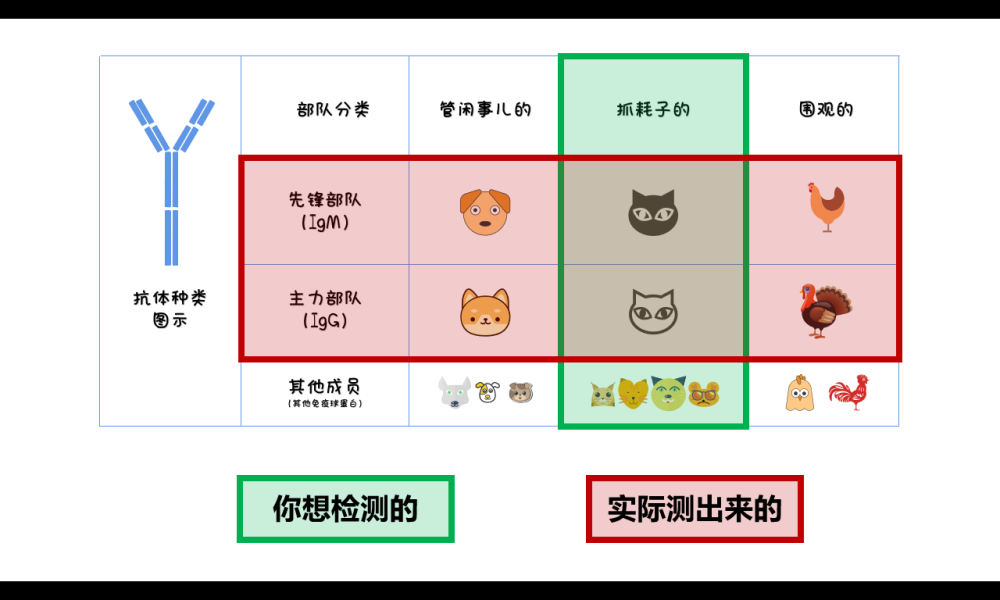 抗体|火遍全国的商业化新冠抗体检测，到底是定心丸还是智商税？