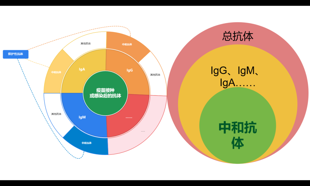 抗体|火遍全国的商业化新冠抗体检测，到底是定心丸还是智商税？