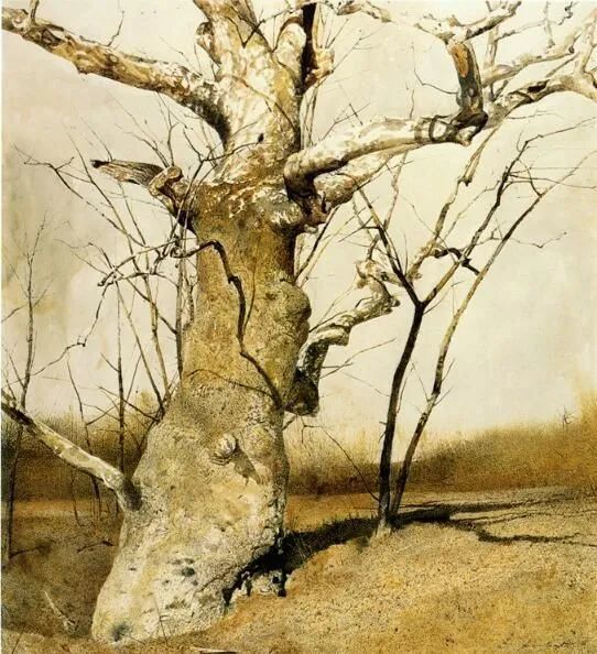 百看不厌安德鲁怀斯的水彩作品欣赏