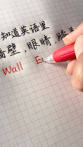 墙壁 眼睛 膝盖 英文读音_墙壁眼睛膝盖造句_墙壁眼睛膝盖类型情话