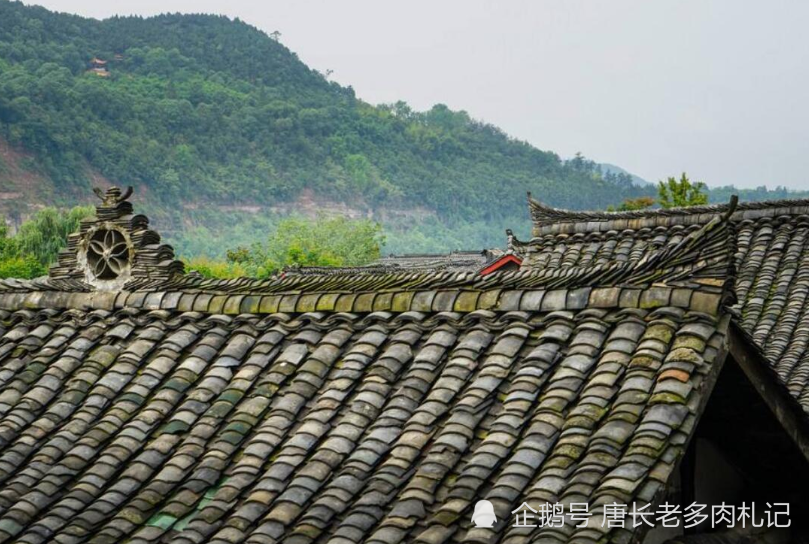 在屋顶的瓦片上种多肉这个想法很大胆不过满足这些条件应该不成问题