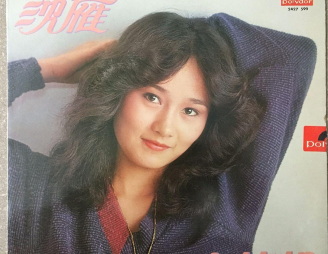 不止 踏浪 这些耳熟能详的经典歌曲 你可能都不知道原唱是谁 心雨 路灯下的小姑娘 歌手 踏浪 纤夫的爱 粉红色的回忆 站在高岗上 热情的沙漠 毛宁 原唱