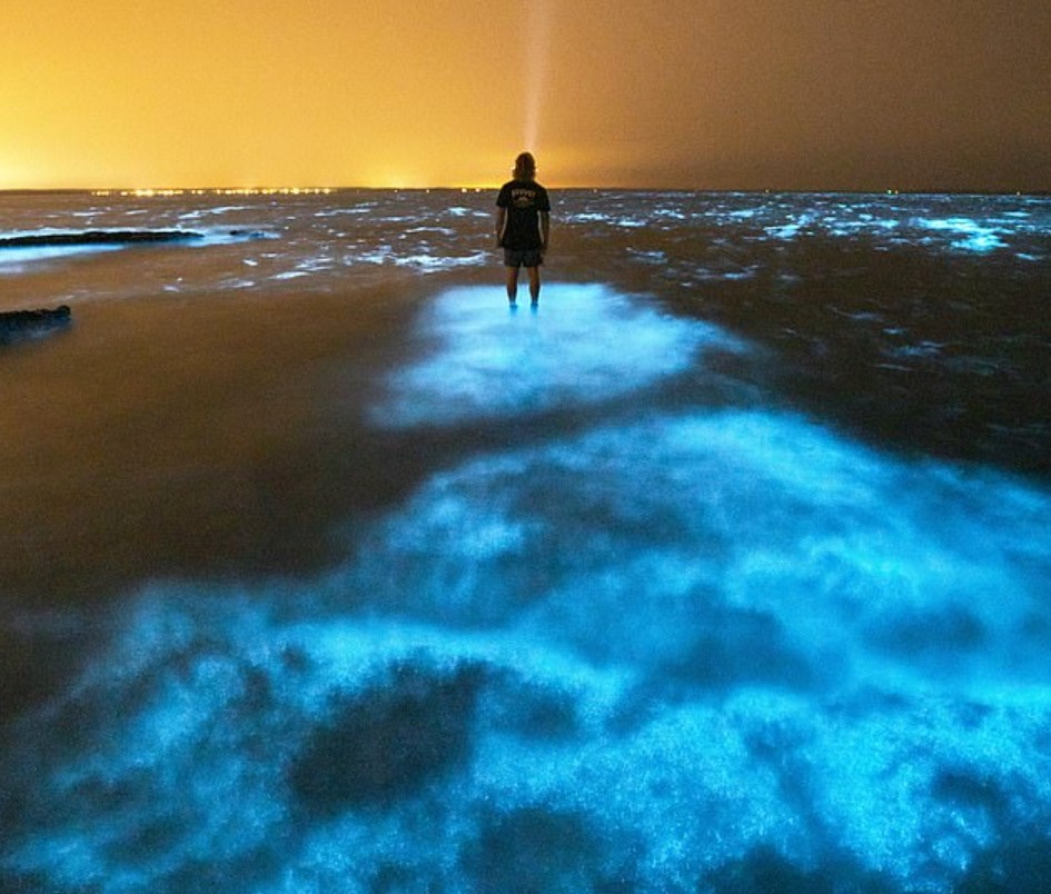 儒勒·凡尔纳|近两百年来，仅被观测到一次！神奇“银海”现象，超越人类认知