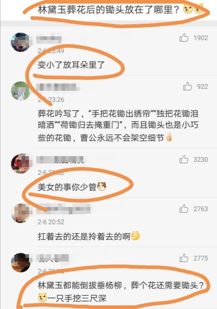龟寿命排行_生物的寿命排名——最短暂与永生的生命