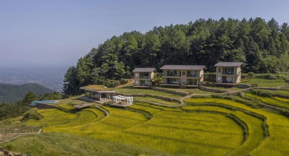 新作|可居可游,在半山稻田之间-重庆垫江巴谷宿集建筑设计/三文建筑