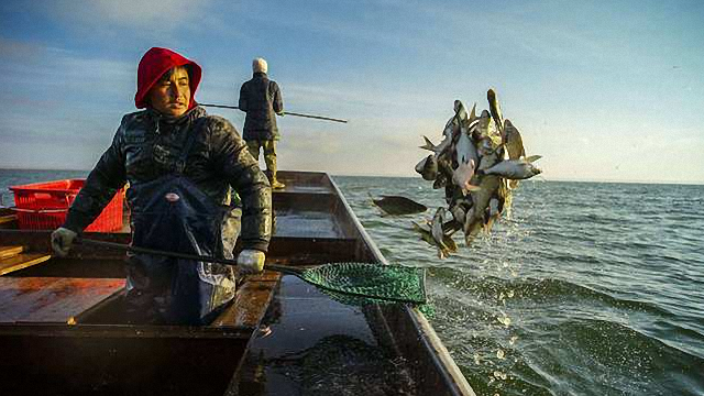 巴新在自己的海域内发展渔业,合法合理,澳大利亚根本没有理由指责.