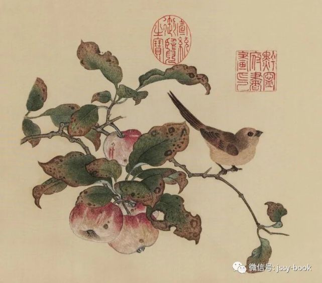 黄筌苹婆山鸟图写生珍禽图芳溆春禽图等