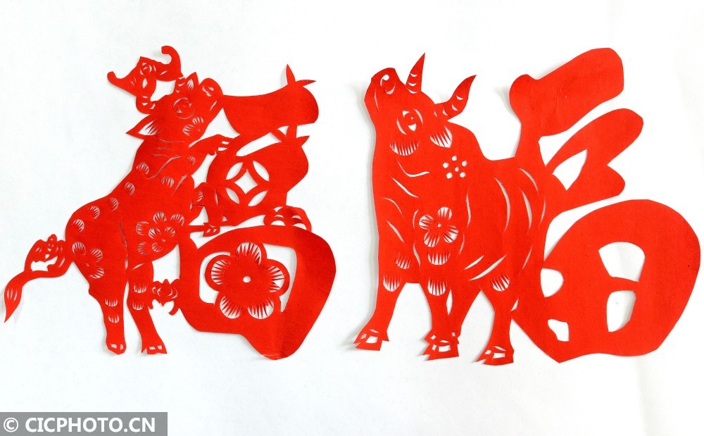 2月5日拍摄的河北省邯郸市磁县民间剪纸艺人殷玲玲创作的牛年剪纸作品