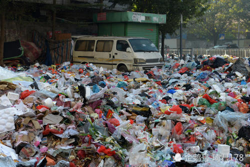 海龟|塑料垃圾对动物造成了多大影响？