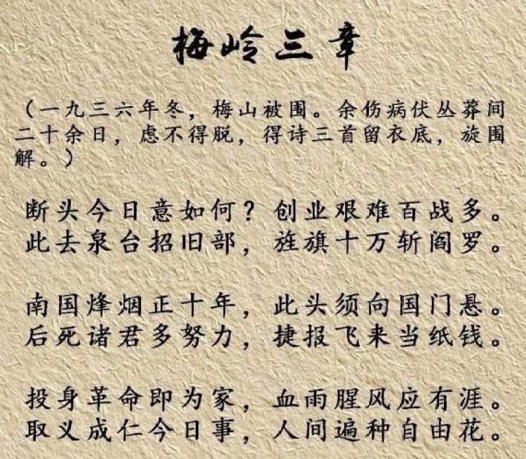 梅岭三章钢笔字图片