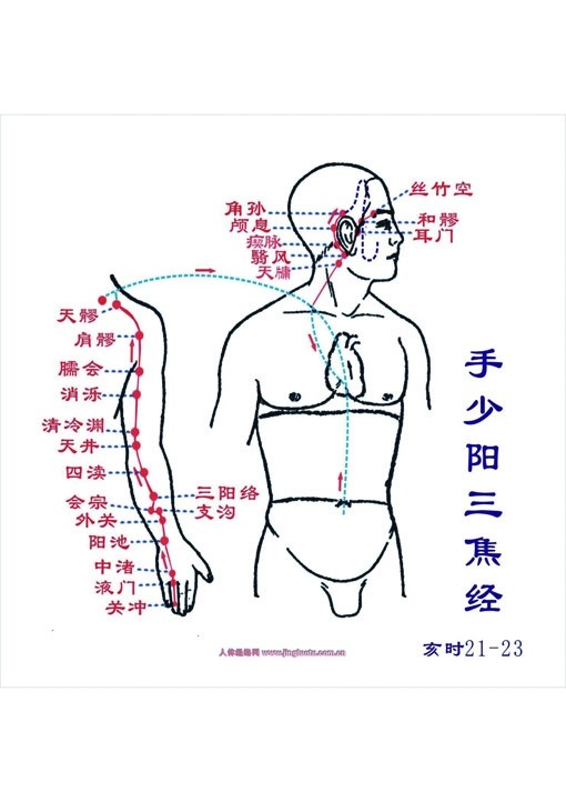 十四經絡與健身氣功(三)