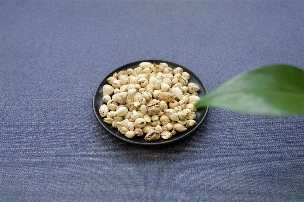 生物正在进化为了不被人类吃梭砂贝母从绿色变成了褐色