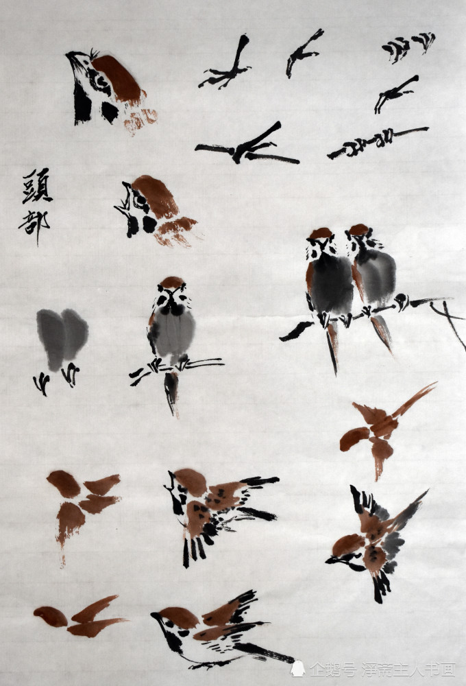 麻雀国画技法步骤