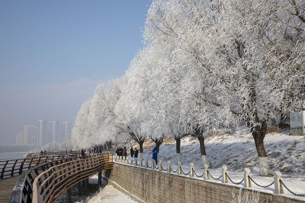 吉林:松花江畔现雾凇景观 引市民观赏打卡_腾讯新闻