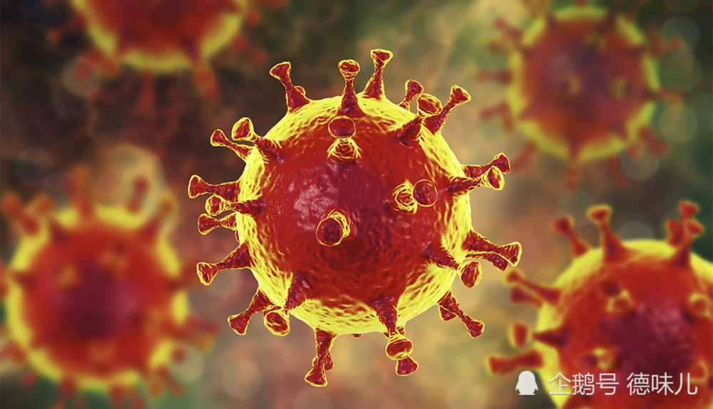 蝙蝠|剑桥大学认为，新冠的罪魁祸首是全球气候变化