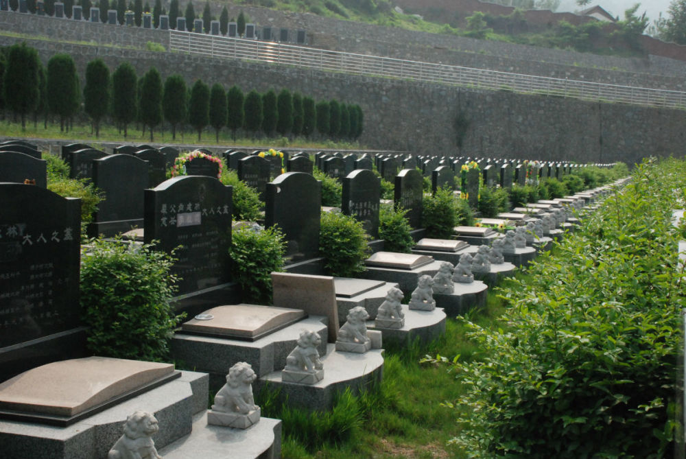 公墓多年后没有人缴费没有后人祭奠会怎么处理会被清除吗