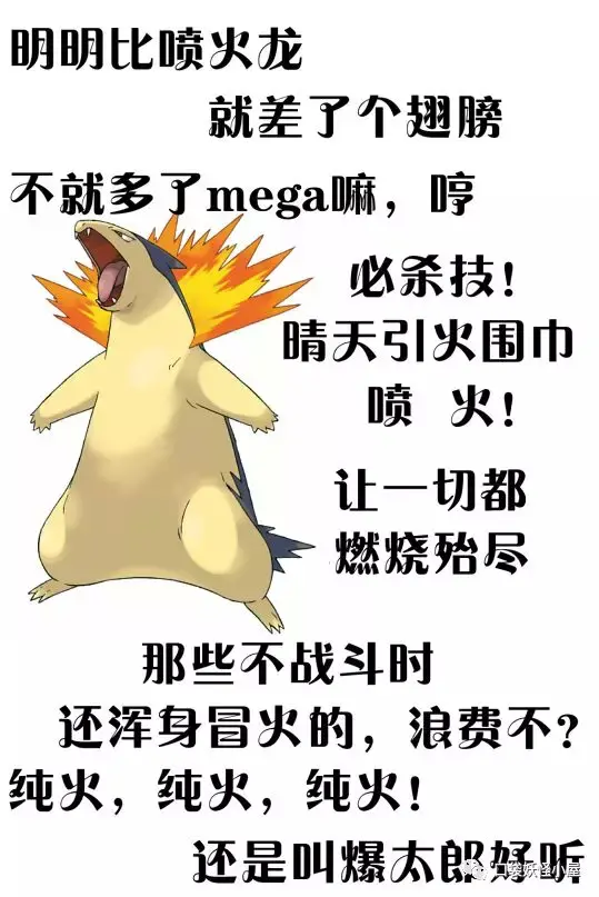 各种玩梗的精灵宝可梦自述图六