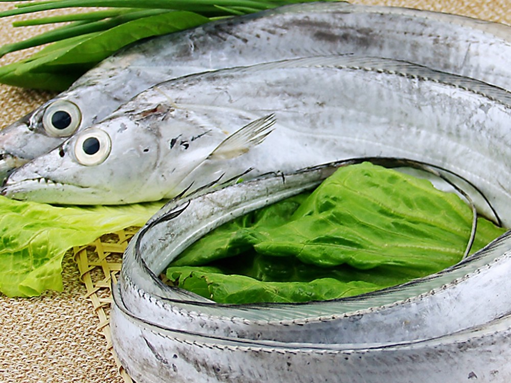 内行人就看3处,带鱼新鲜味正_腾讯新闻