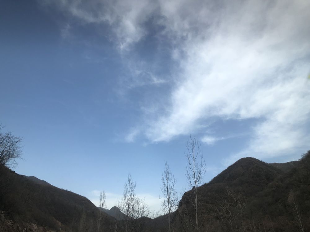 八字日柱帶童子