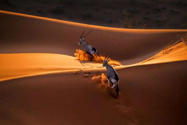 罗红|把大自然的最美瞬间变成永恒_腾讯网