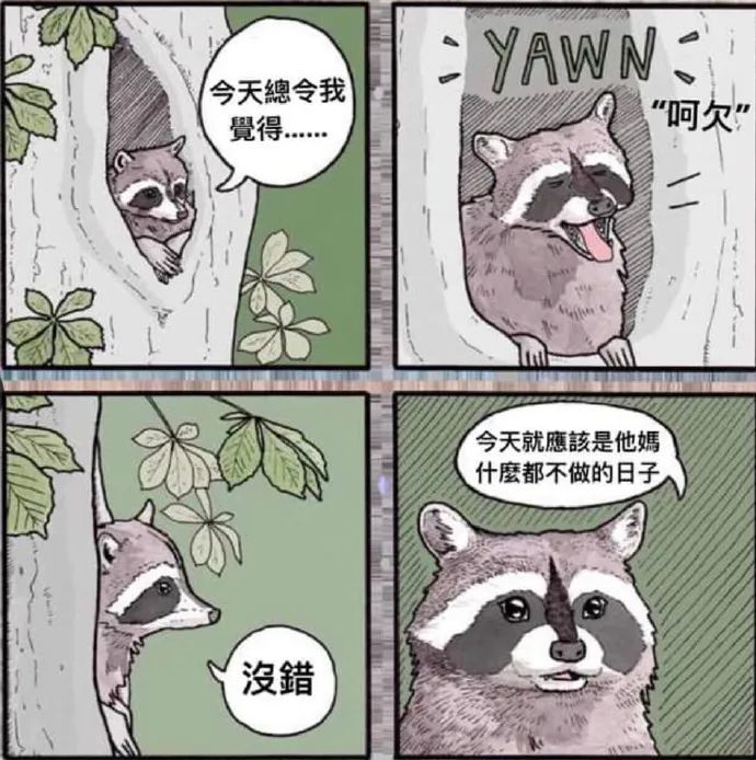 暴躁小动物四格漫画