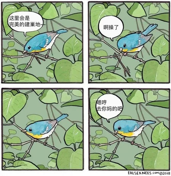 暴躁小动物四格漫画