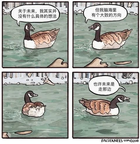 暴躁小动物四格漫画