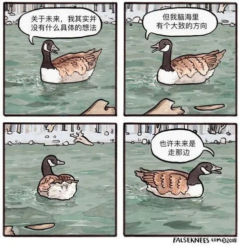 暴躁小動物四格漫畫!