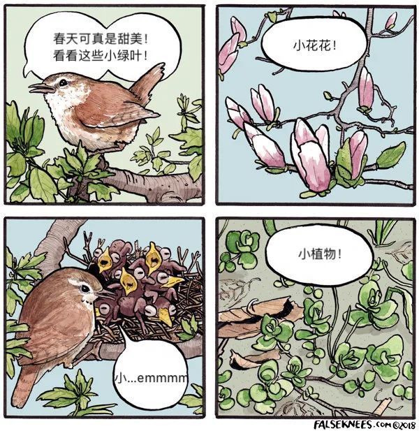 暴躁小动物四格漫画