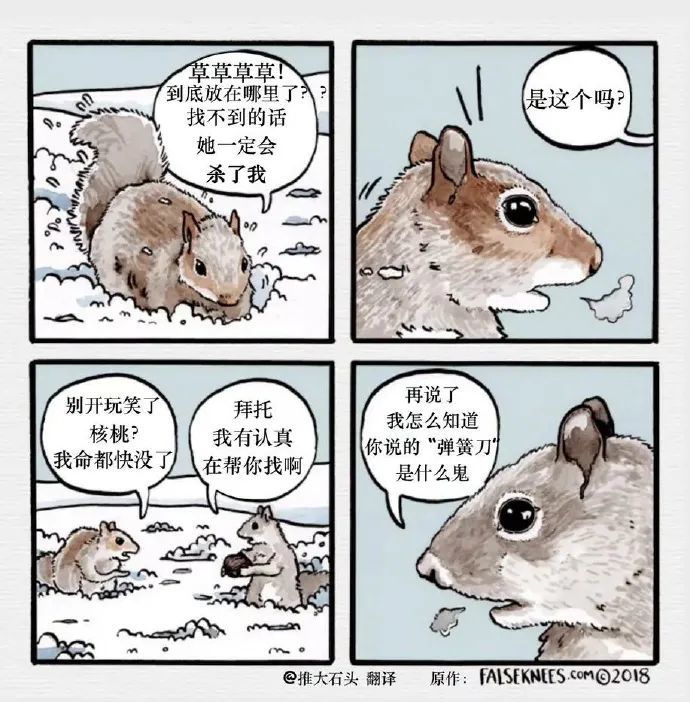 暴躁小动物四格漫画