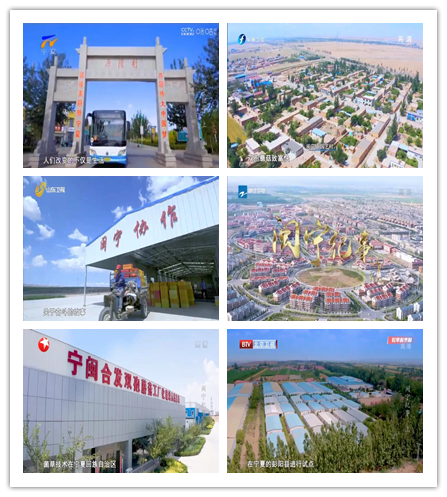 2月4日当晚《闽宁纪事》在宁夏卫视,北京卫视,东方卫视,浙江卫视